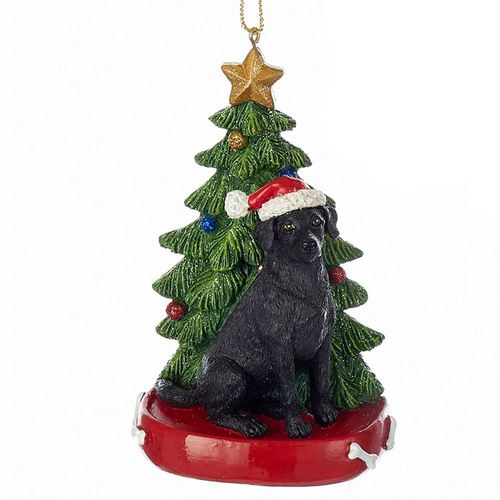 Y873-002_V.jpg Thumbnail Image