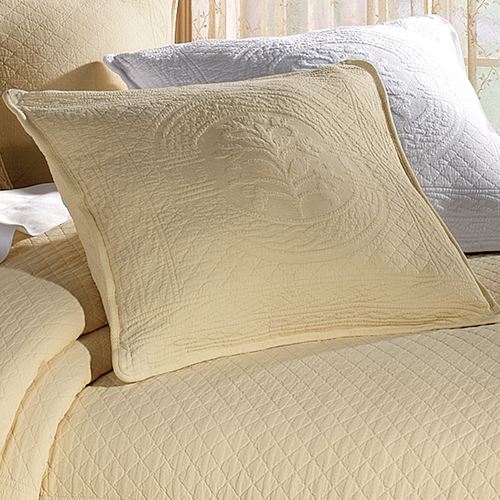 Z038-005_Buttercup.jpg Thumbnail Image