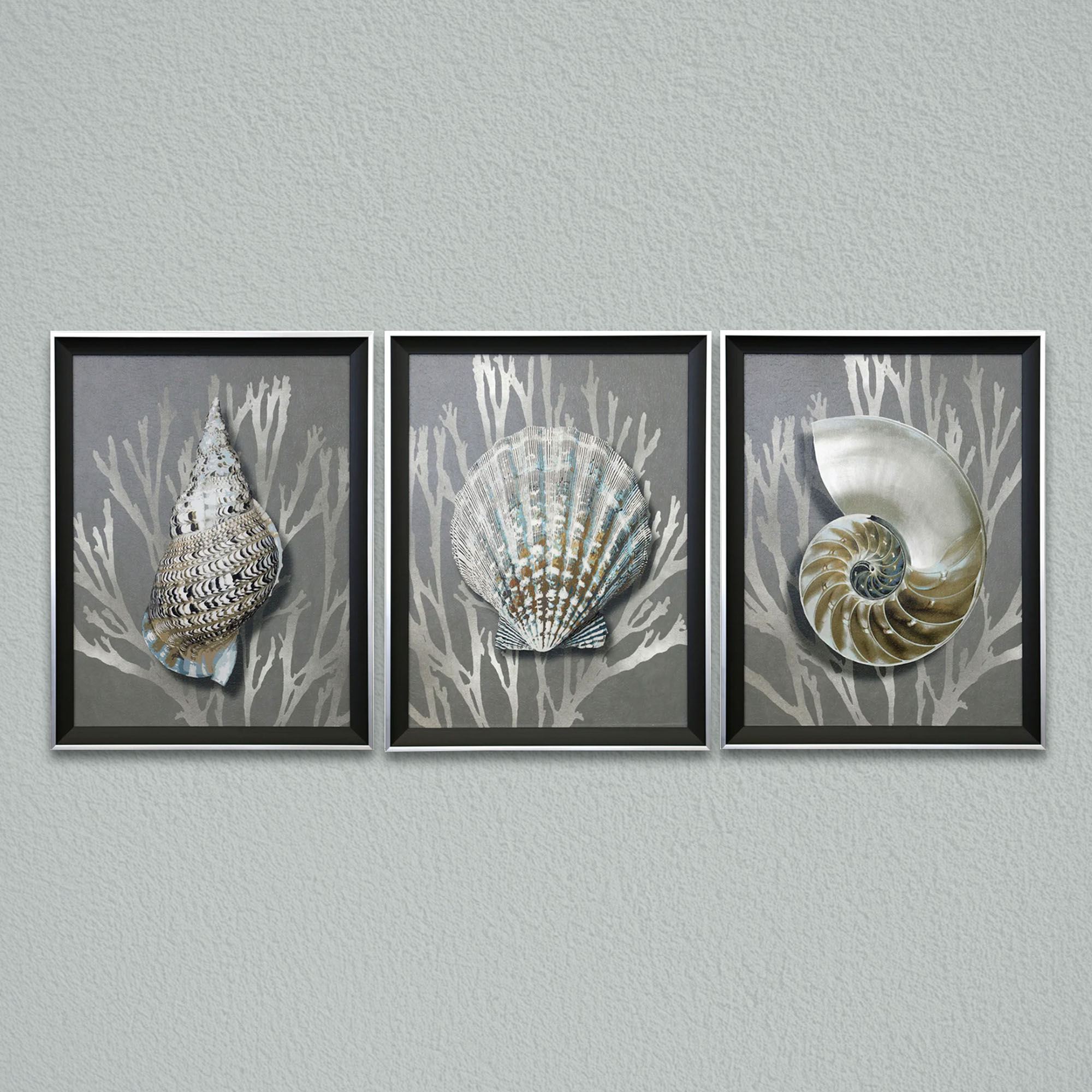 Shell Framed Print Gray Seashell Coastal Wall Art