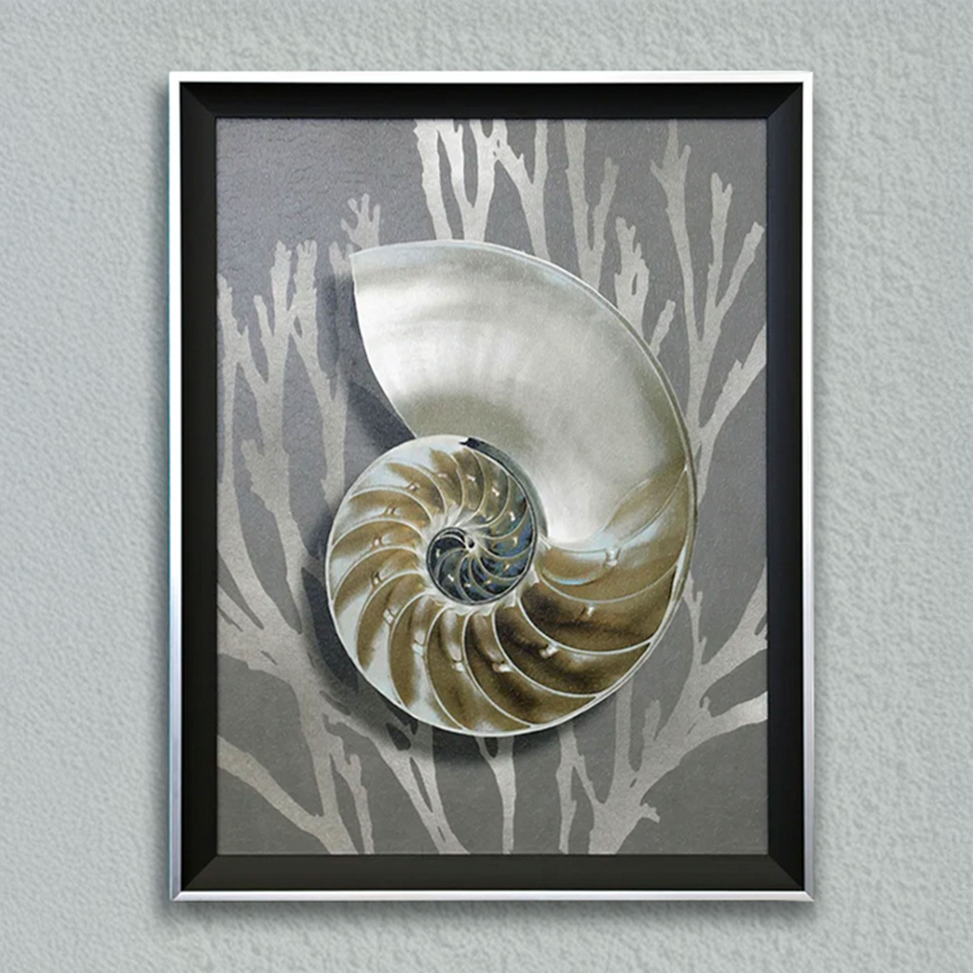 Shell Framed Print Gray Seashell Coastal Wall Art