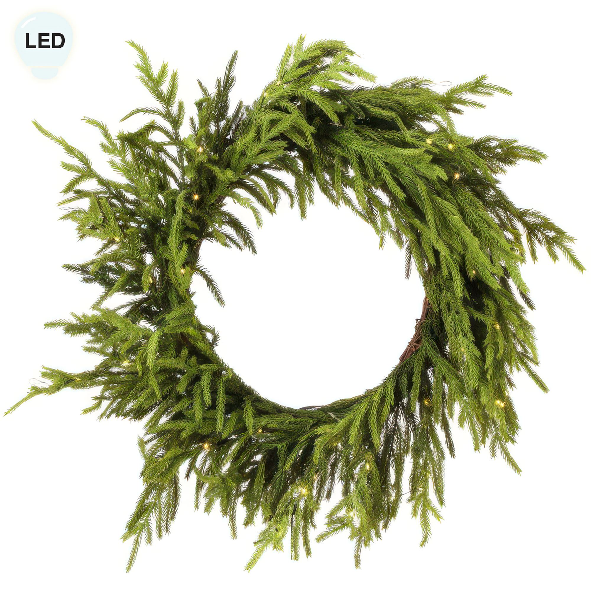 Norfolk Pine Lighted Wreath Green