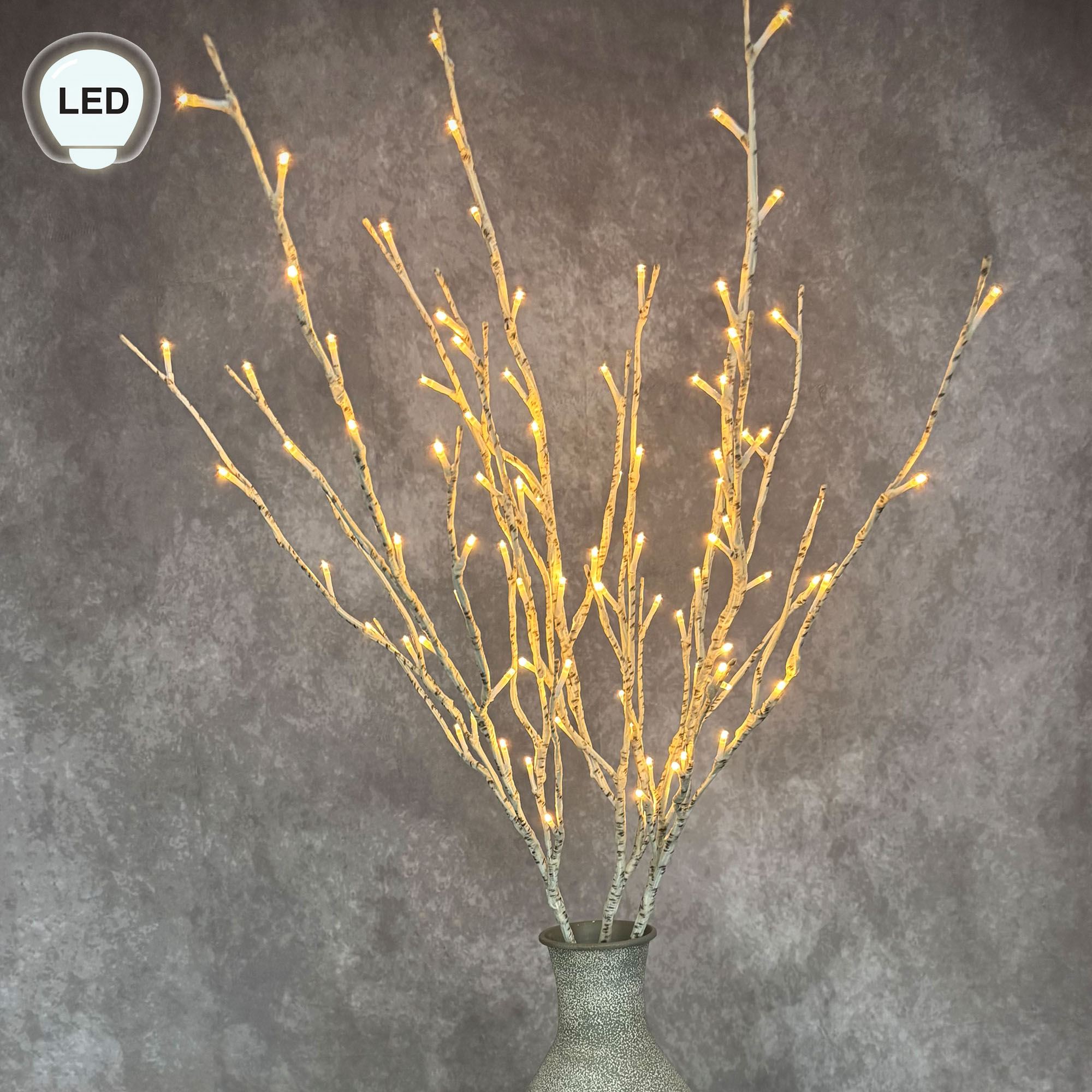 Lighted Birch Branch and Converter Set Multi Earth