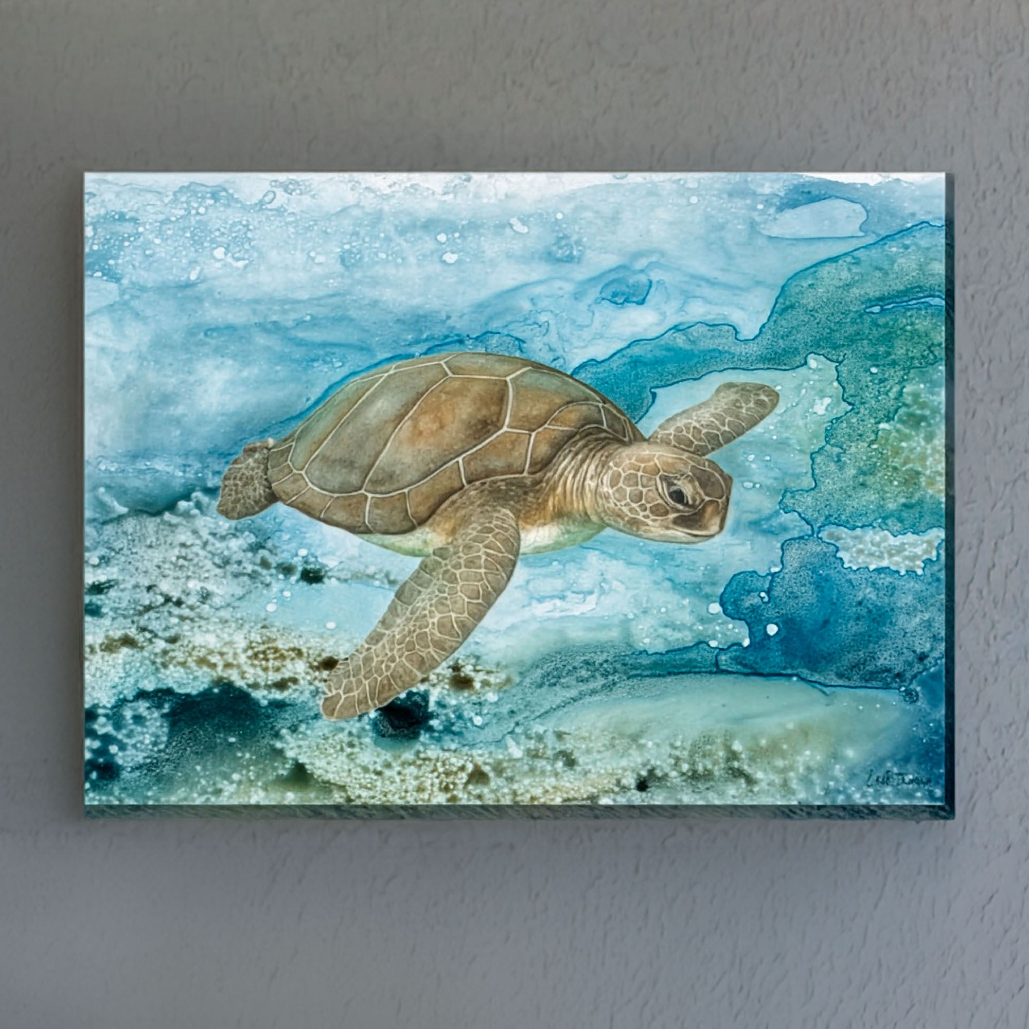 Sea Life Turtle Canvas Wall Art Multi Cool