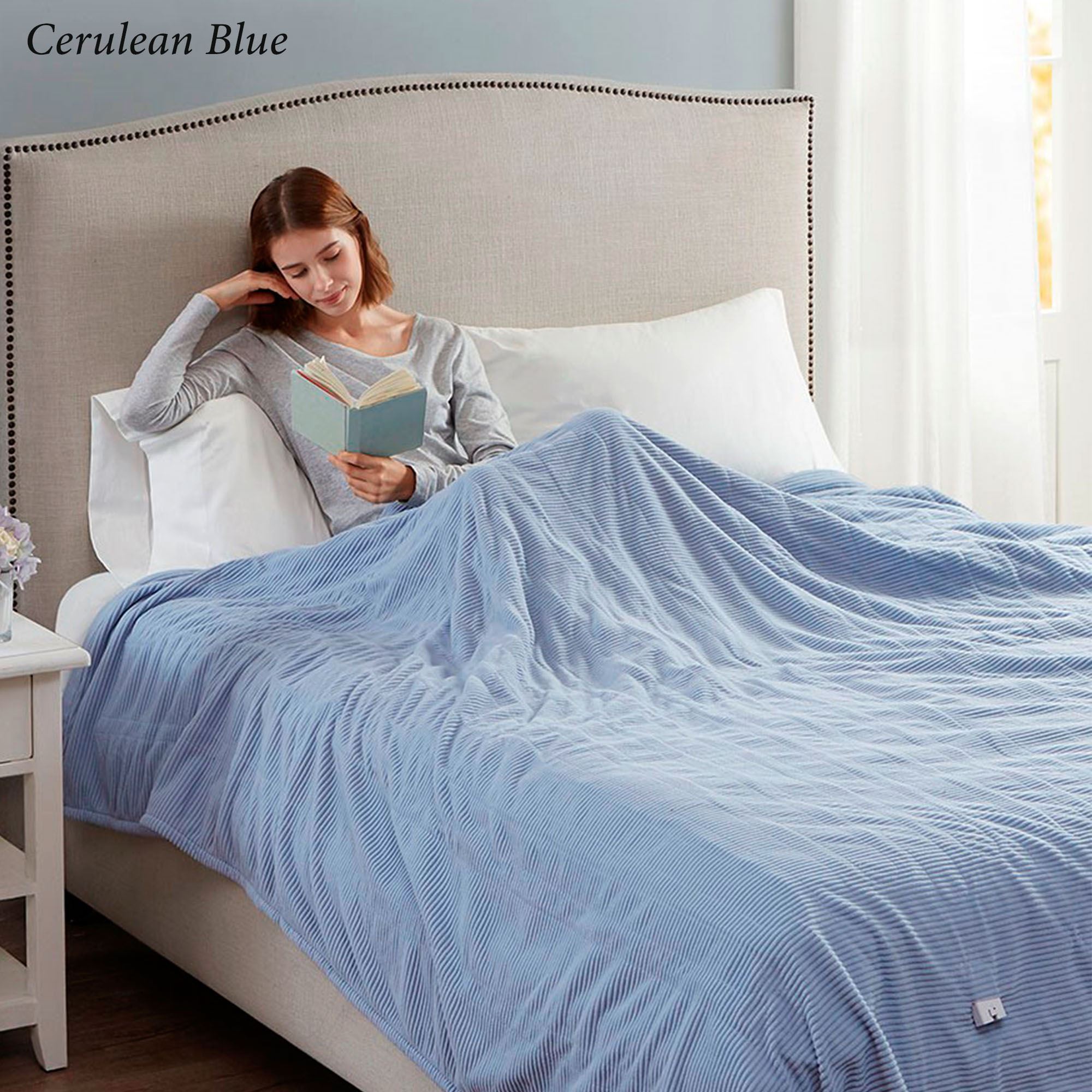 Amazon Beautyrest Electric Blanket Controller Beautyrest Electric